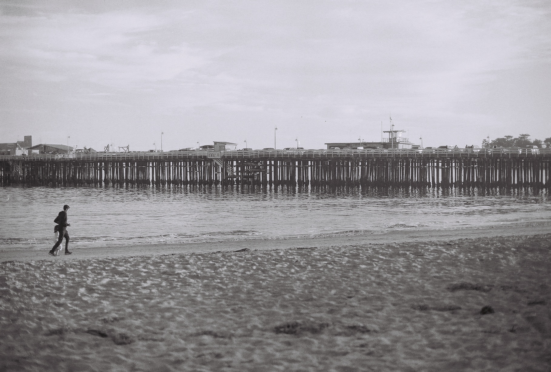 santa cruz pier
