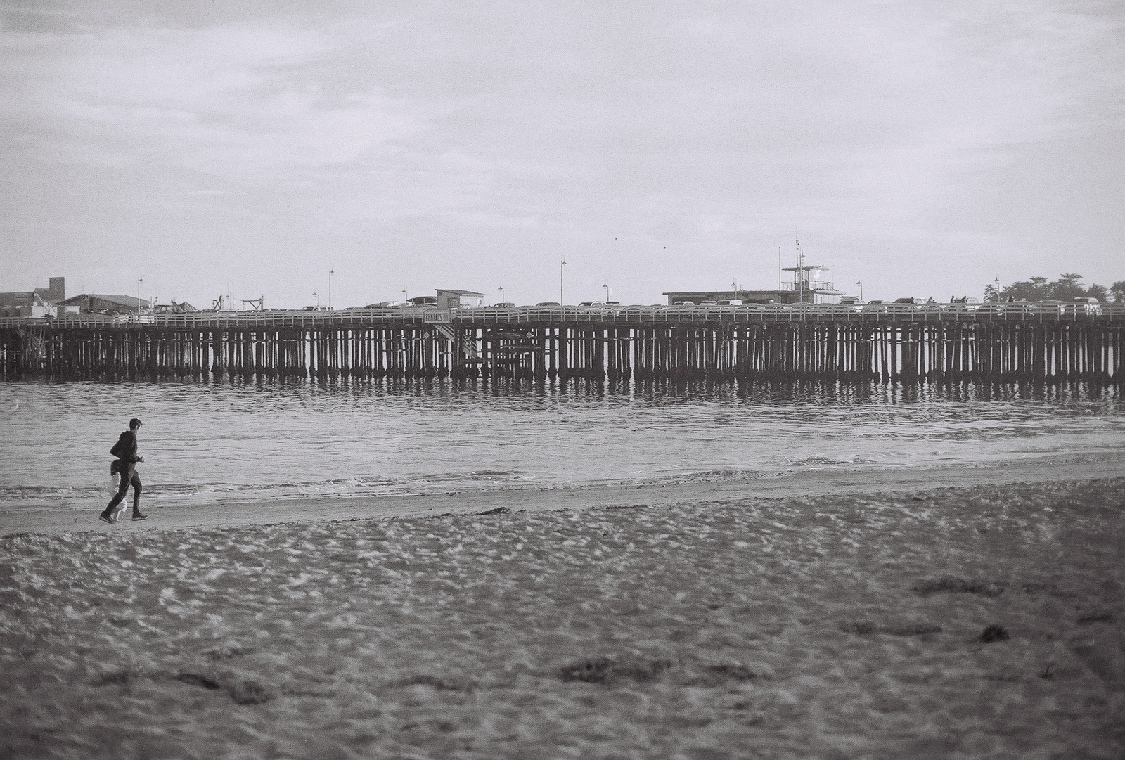 santa cruz pier