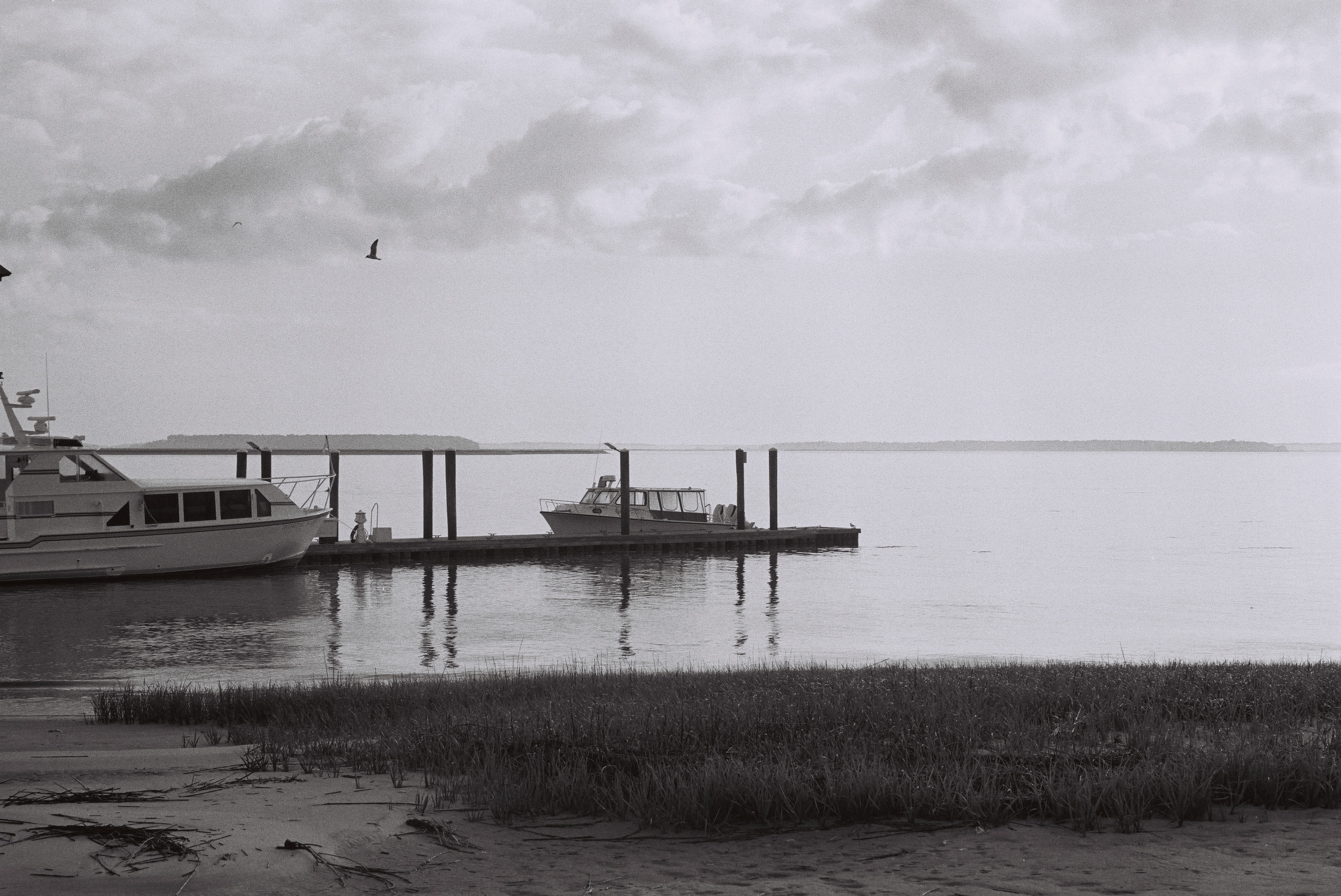 boats at a dock