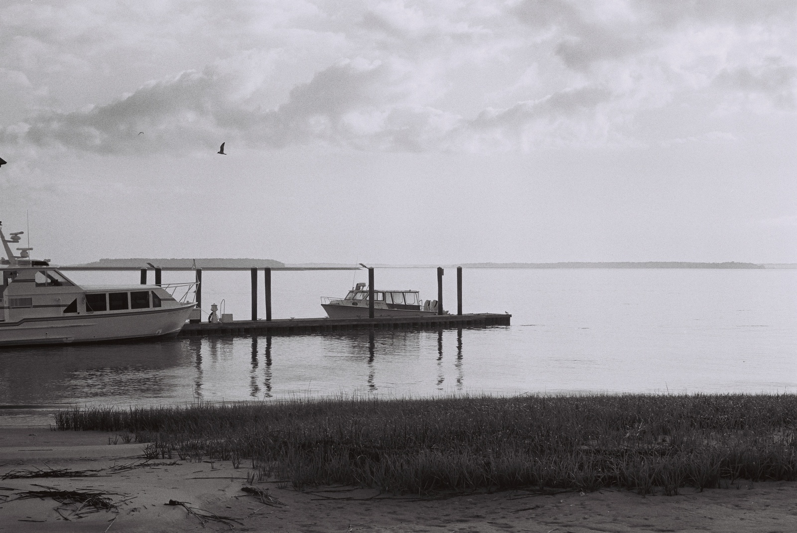 boats at a dock